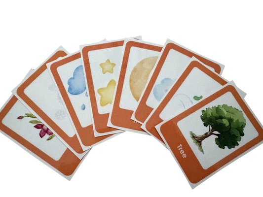 Sound Steps – Words 201–300 Cue Card Pack