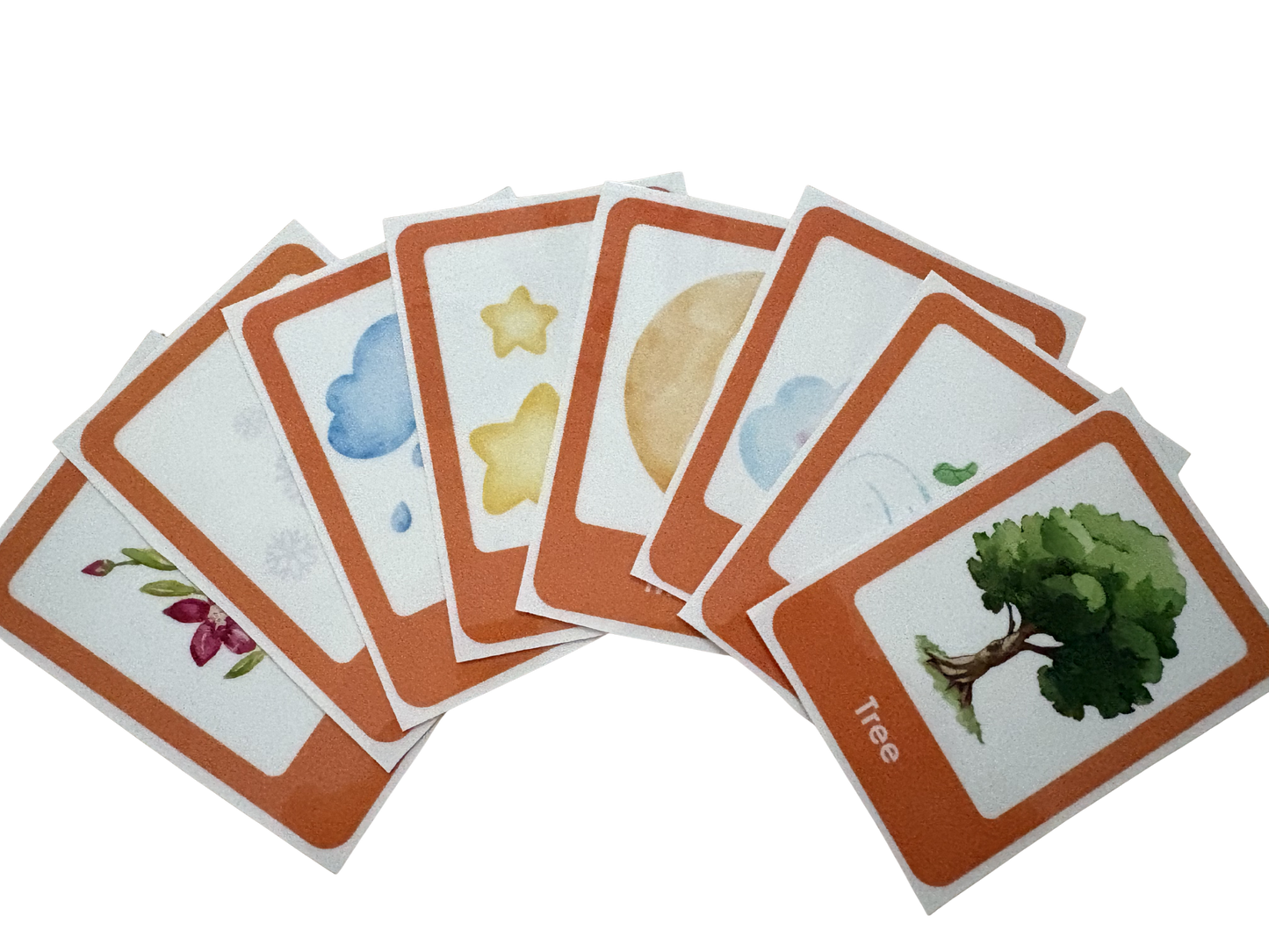 Sound Steps – Words 201–300 Cue Card Pack